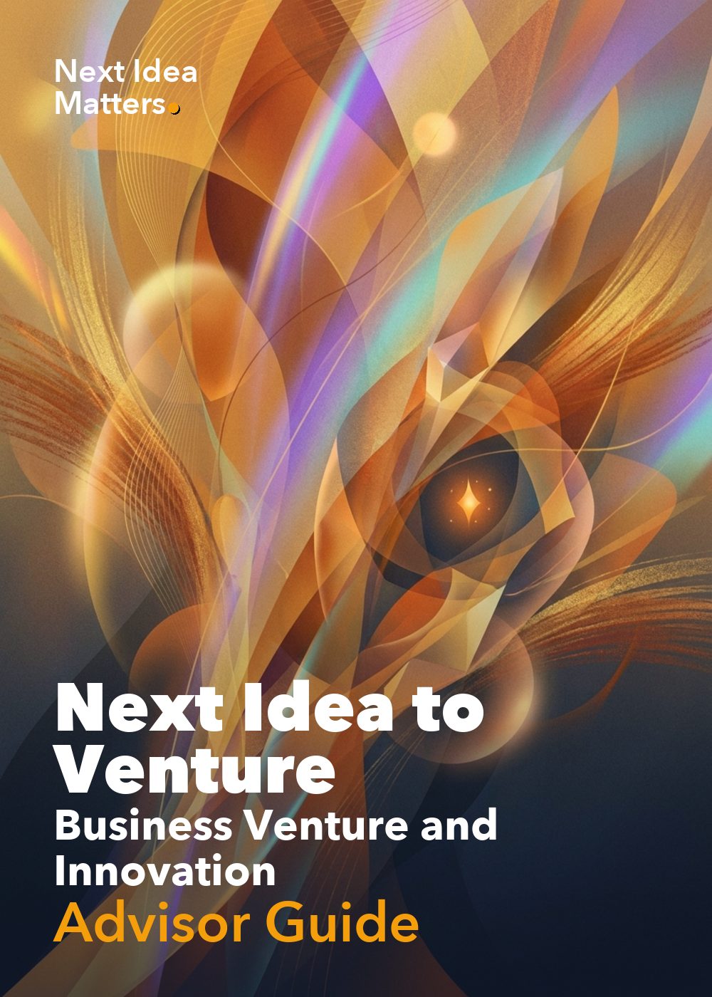 NIV Business Venture and Innovation — Advisor Guide